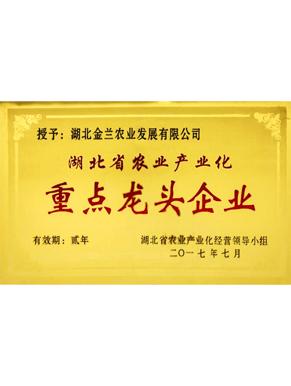 重點龍頭企業(yè)